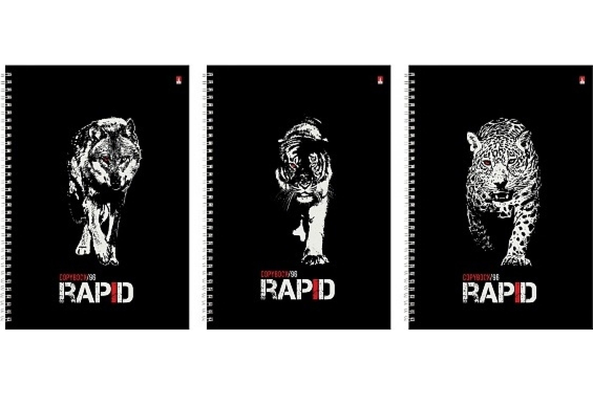 

Тетрадь общая в клетку Альт Rapid 7-96-1122, 96 л., 1 шт., 7-96-1122