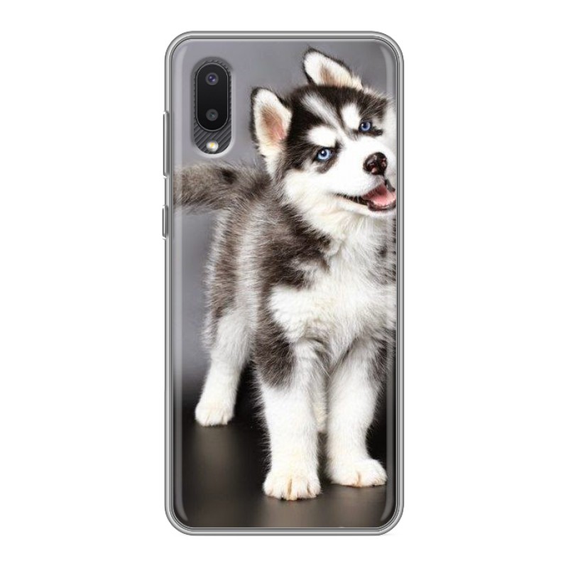 

Чехол для Samsung Galaxy A02 (SM-A022) с рисунком и защитой камеры, 77748
