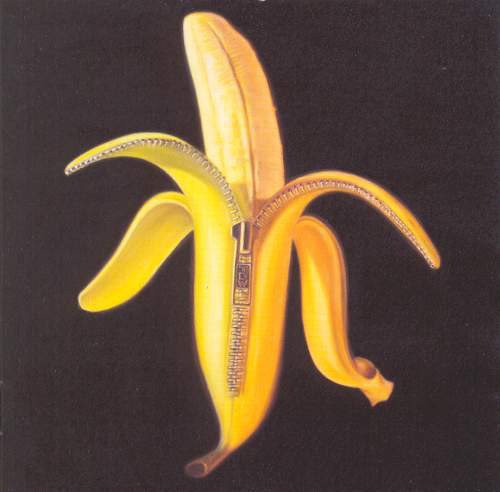 

The Dandy Warhols: Welcome To The Monkey House (1 CD)