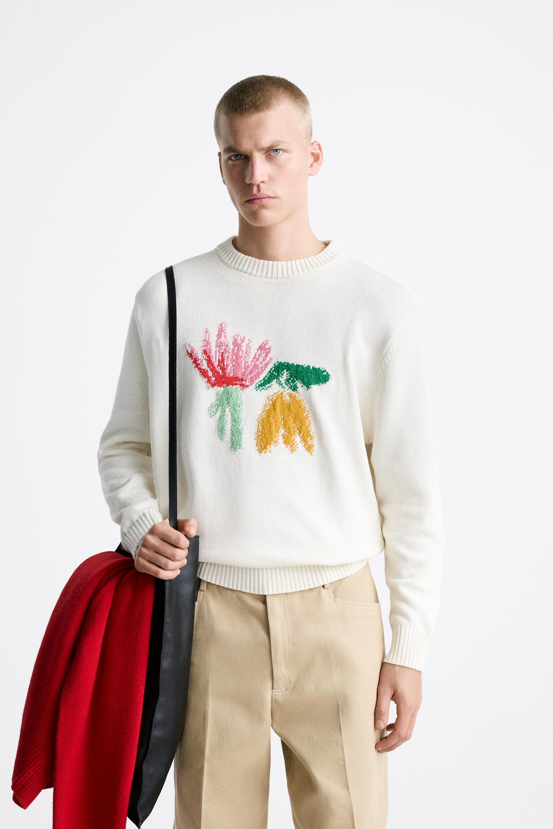 

Джемпер мужской ZARA 09598416 белый M (доставка из-за рубежа), 09598416