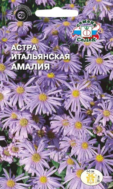 

Семена астра амалия 0,1 г
