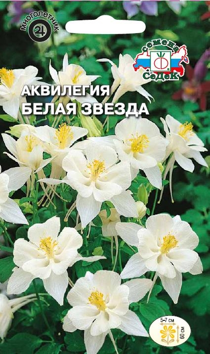 

Семена аквилегия белая звезда 0,1 г