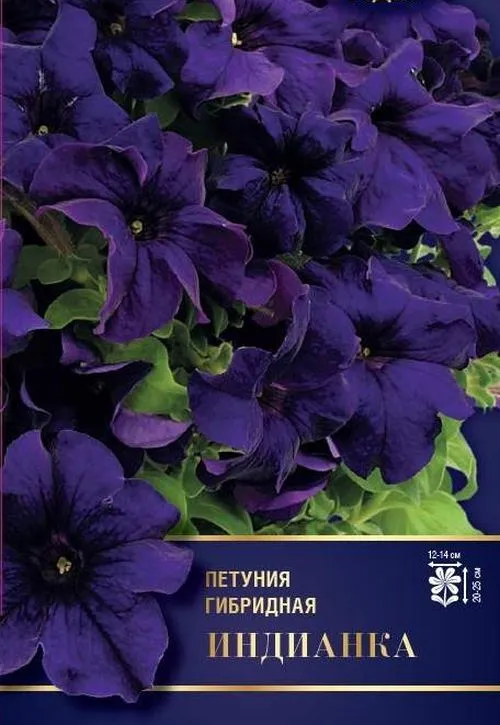 

Семена петуния индианка 5 г
