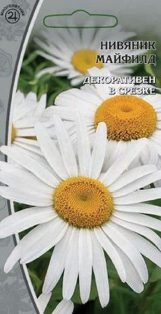 

Семена нивяник майфилд 0,3 г