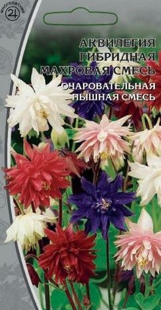 

Семена аквилегия махровая смесь 0,05 г