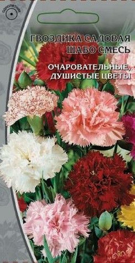 

Семена гвоздика шабо смесь 0,2 г