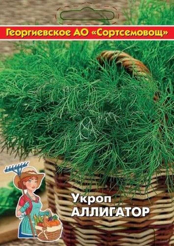 

Семена укроп аллигатор 10 г