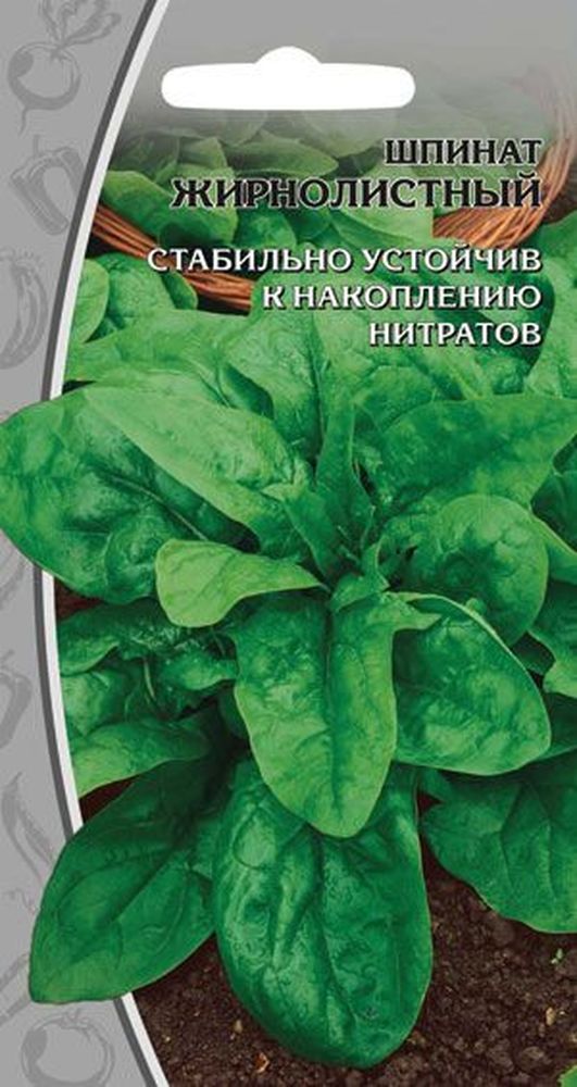 

Семена шпинат жирнолистный 1 г
