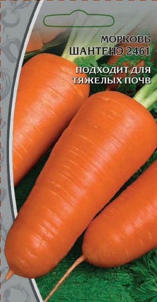 

Семена Моркови Шантанэ 2г