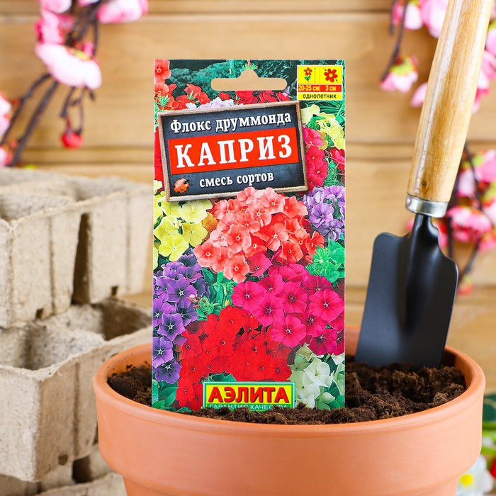 

Семена флокс Аэлита Каприз 1069697 3 уп.