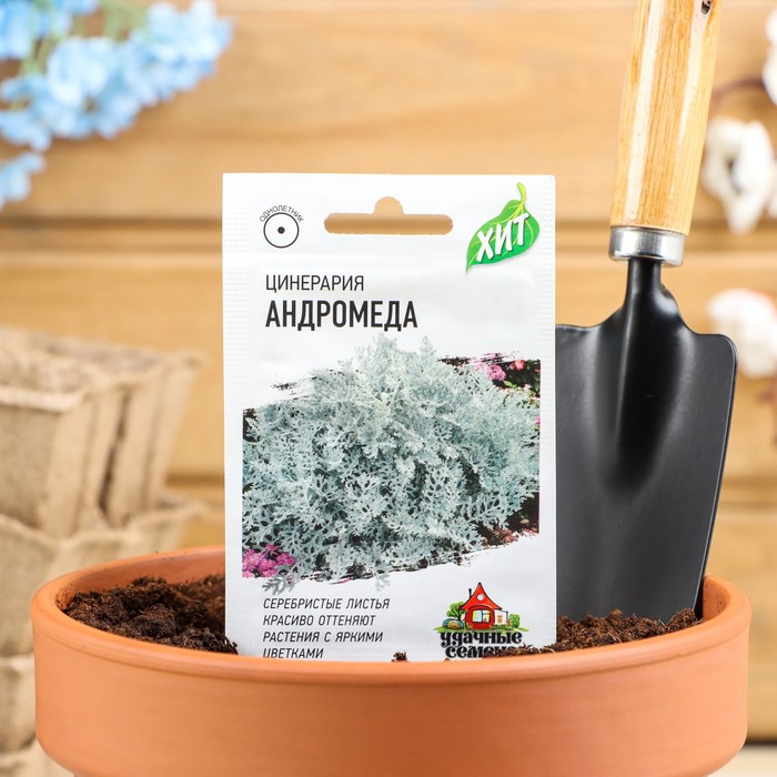 

Семена цинерария Гавриш Андромеда 2473584 5 уп.
