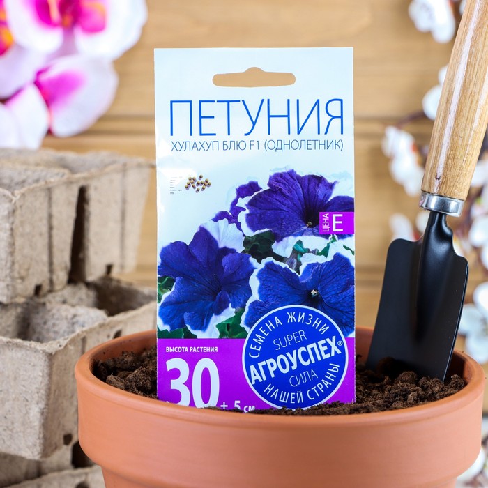 

Семена петуния Агроуспех Хулахуп Блю F1 1542629 2 уп.