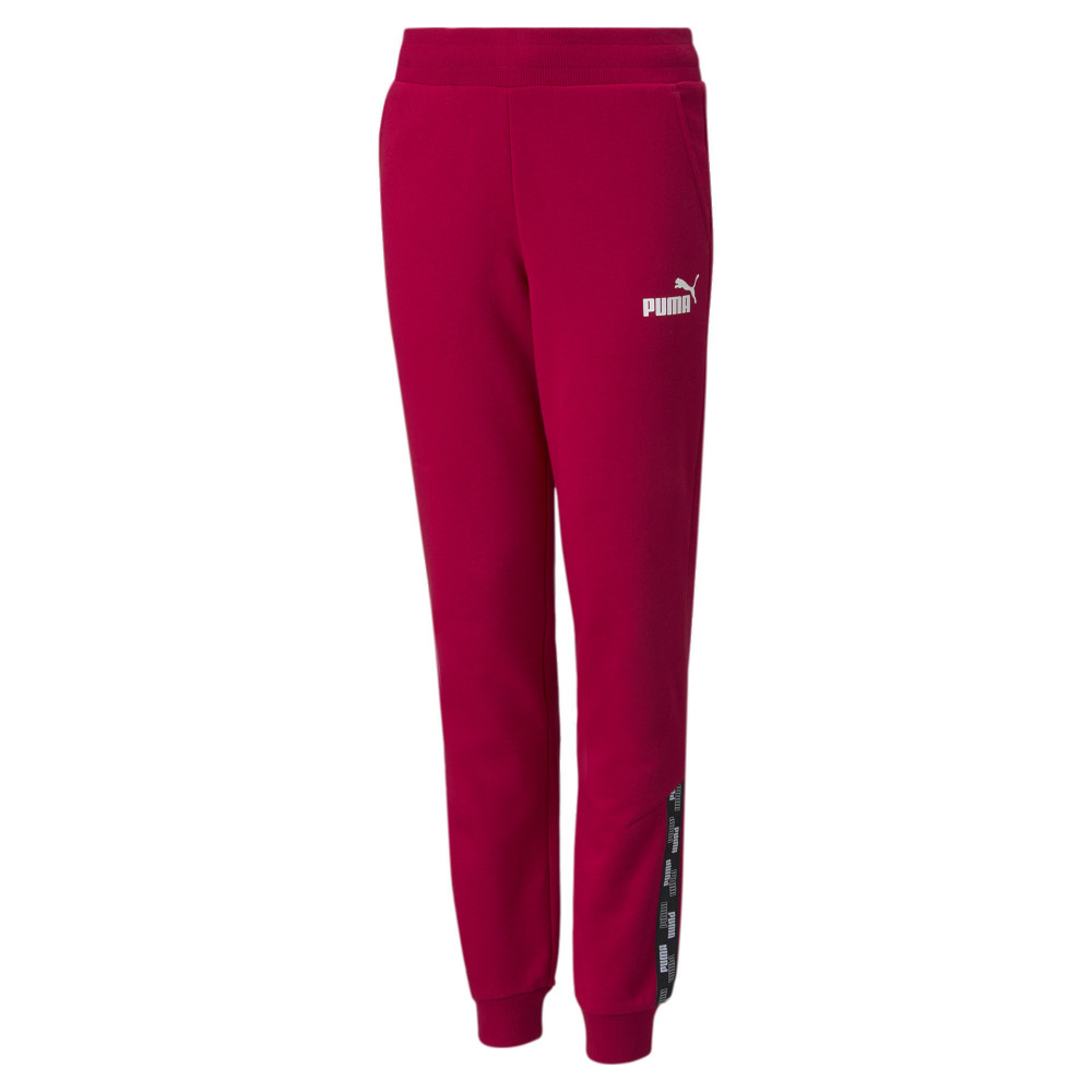 фото Брюки детские puma power pants fl cl g 58922333 цв.красный р.152