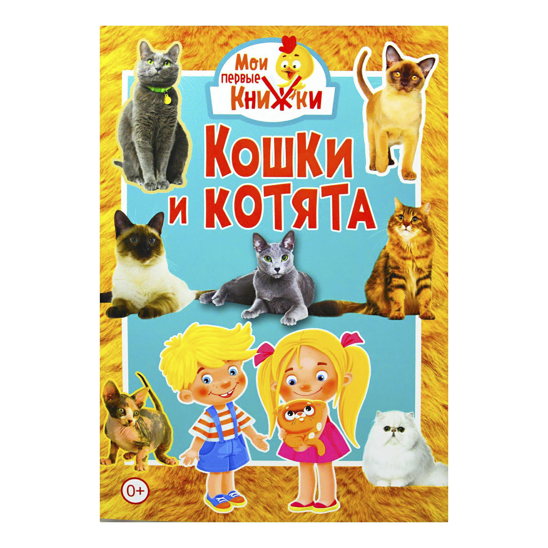 

Книга Кошки и котята