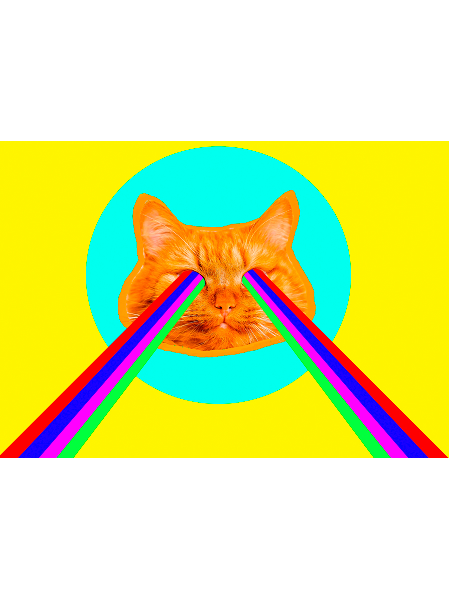 

Постер DRABS А2 Кот с радужными лучами из глаз Современное Искусство Modern art