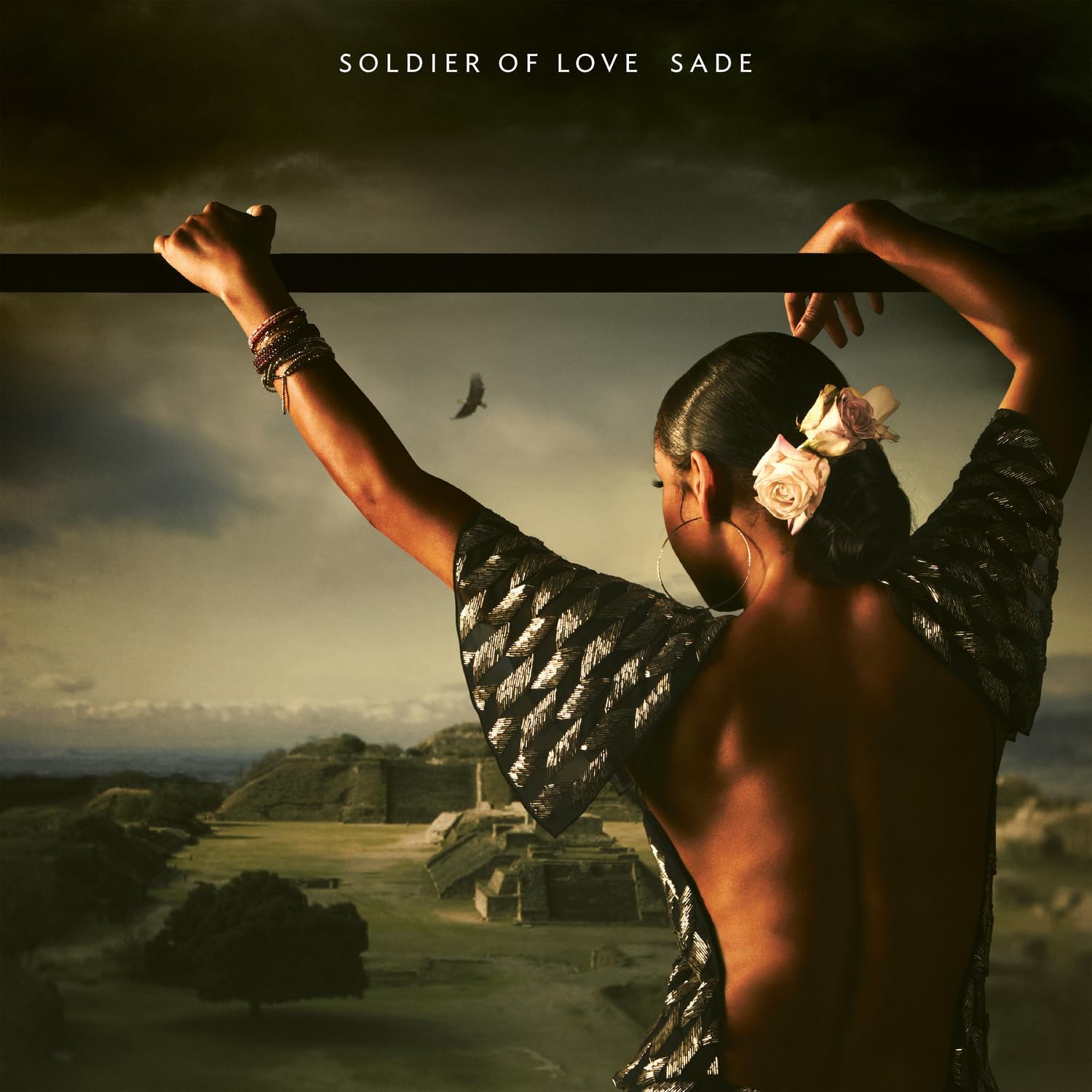 Sade Soldier Of Love (Half-Speed) (LP) 600022380838