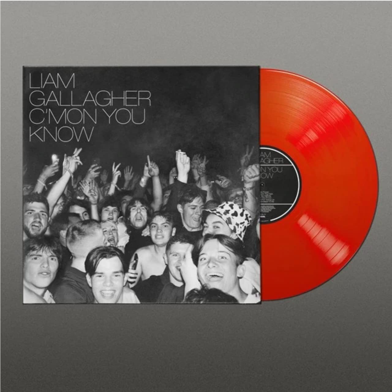 

Виниловая пластинка Liam Gallagher Cmon You Know (Transparent Red) (Винил)