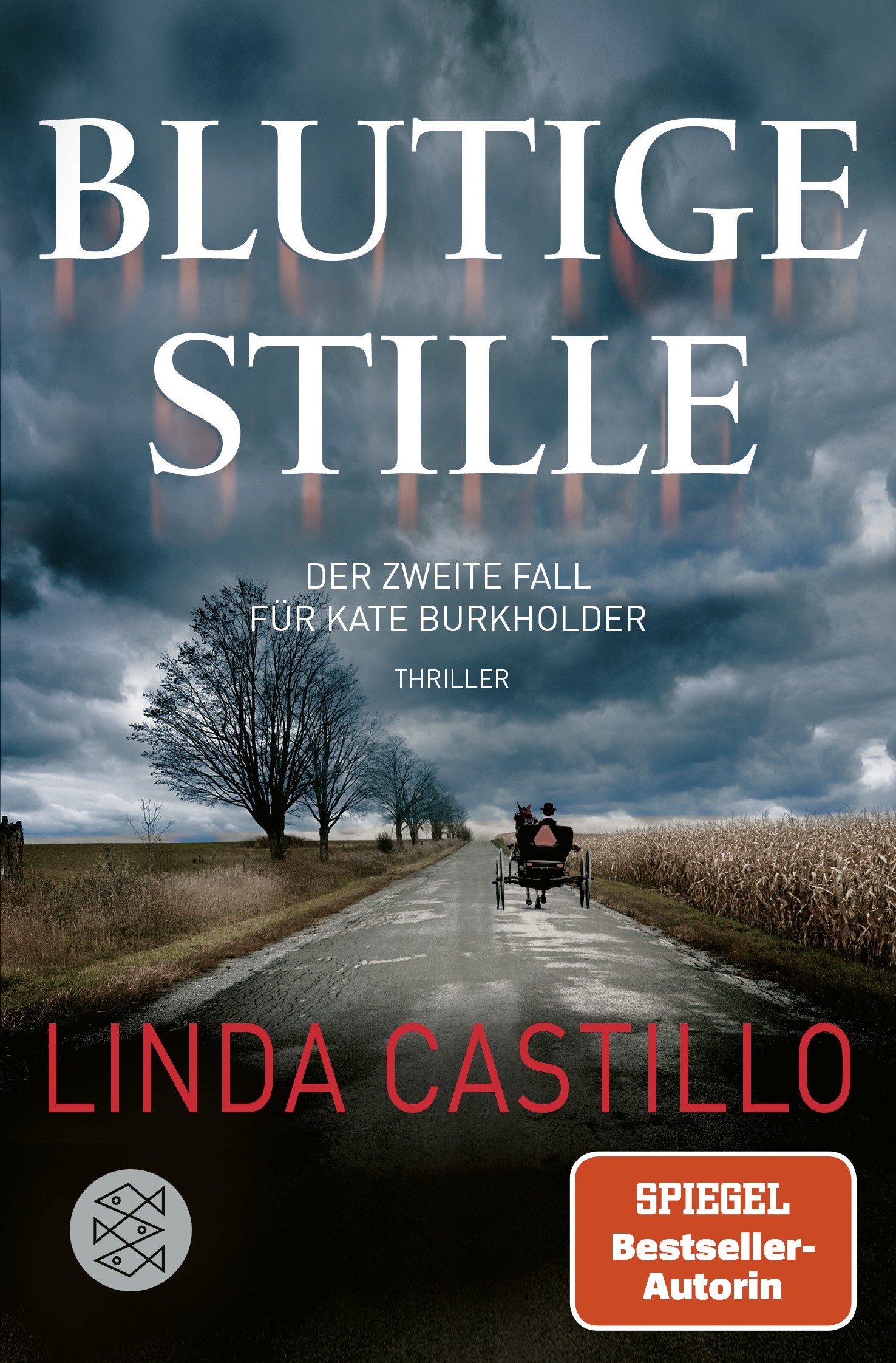 

Kate Burkholder ermittelt. Band 2. Blutige Stille