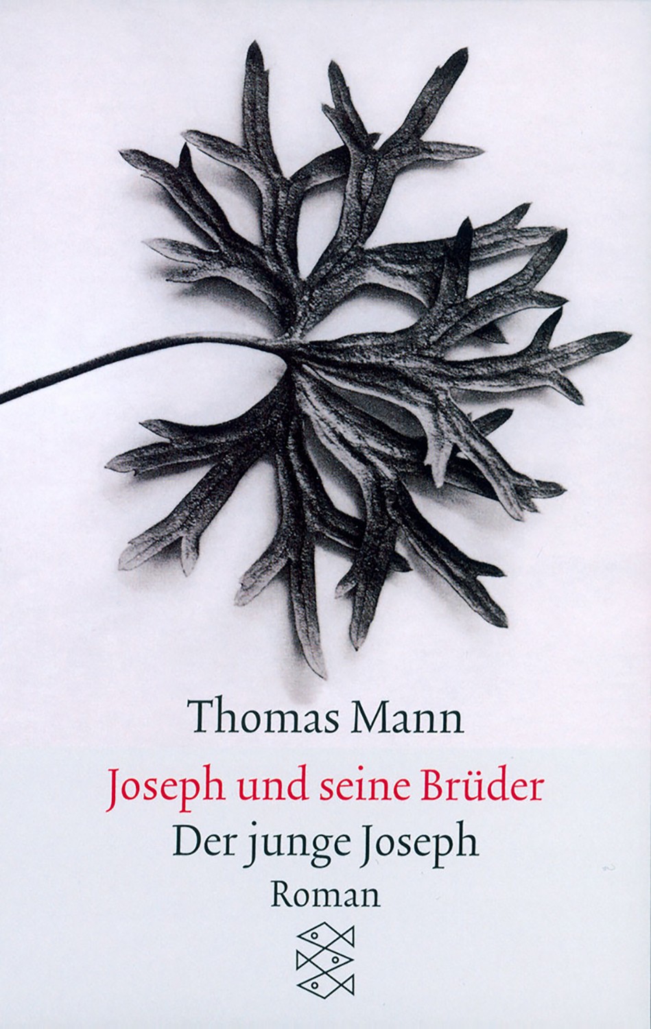 

Der junge Joseph