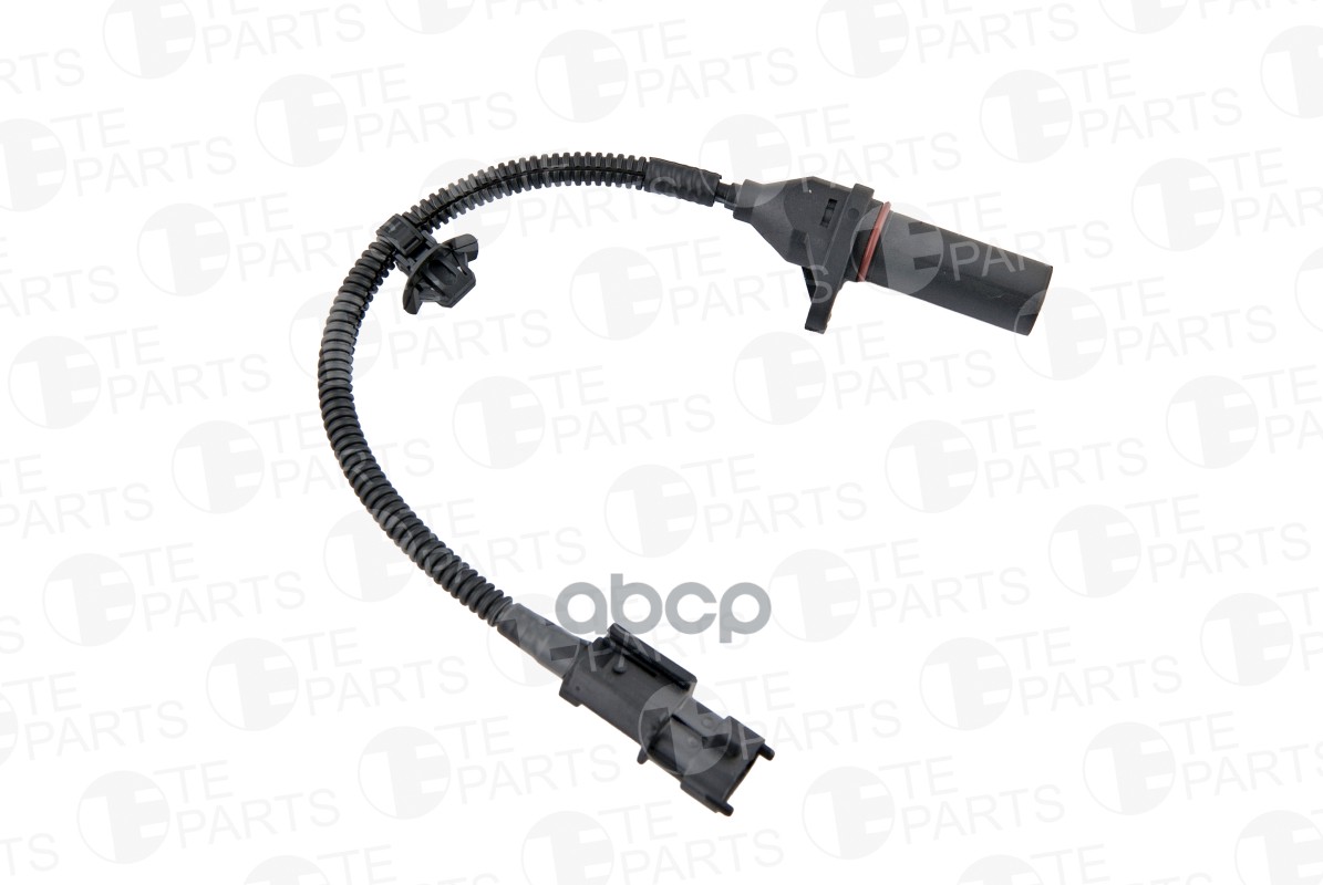 

Датчик Положения Коленчатого Вала TE PARTS 81067509