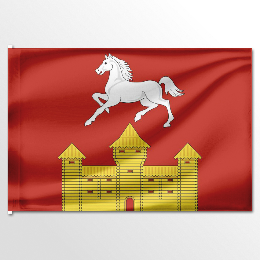 

Флаг ЦТП ФЕНИКС Краснотуранского района 135x90 см, 6661-135x90