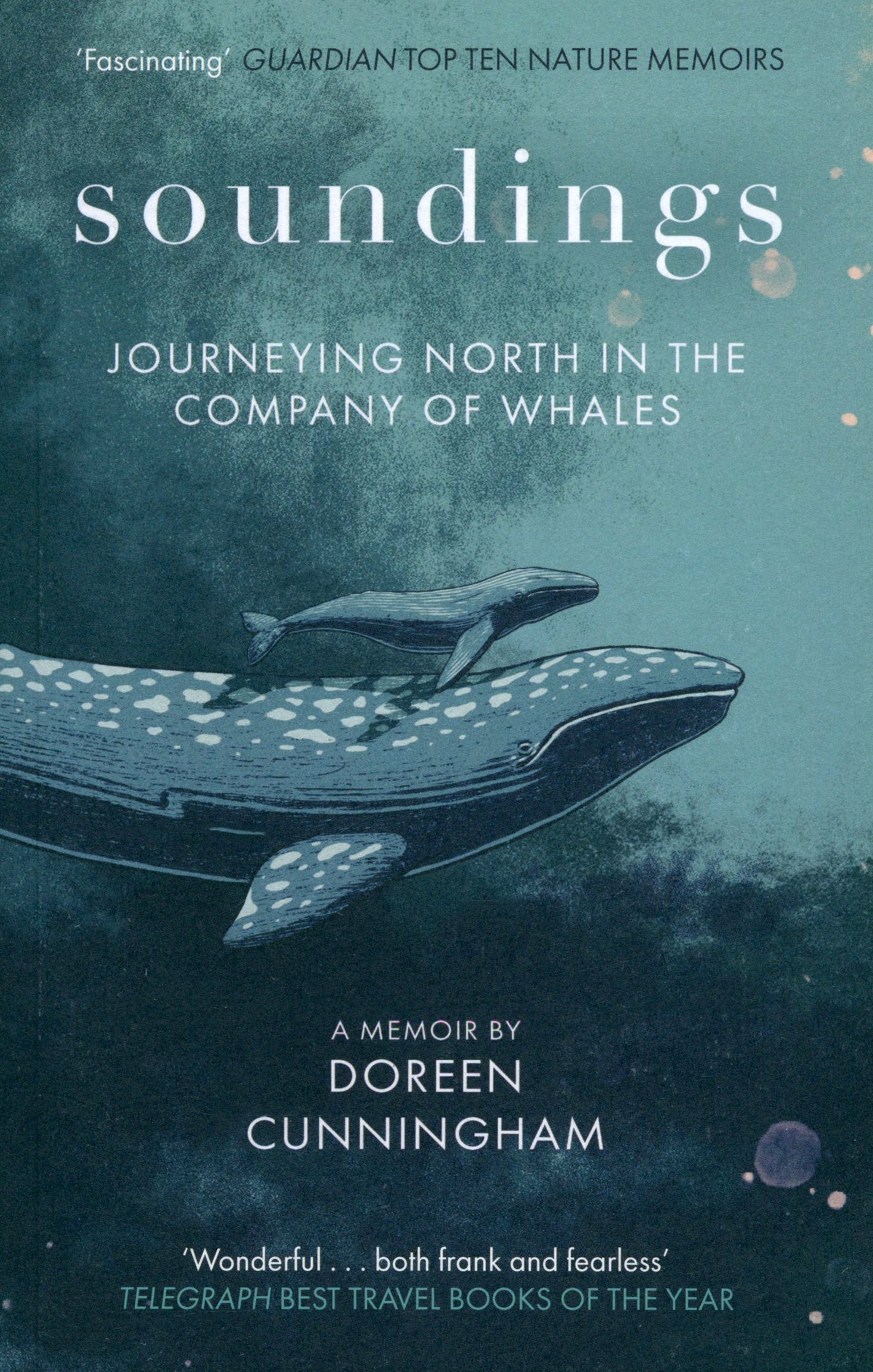 

Soundings Journeys in the Company of Whales