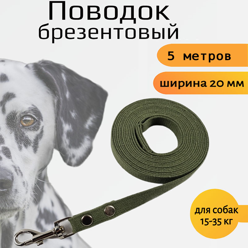 Поводок для собак Хвостатыч с карабином, брезент, зеленый, 5 м х 20 мм