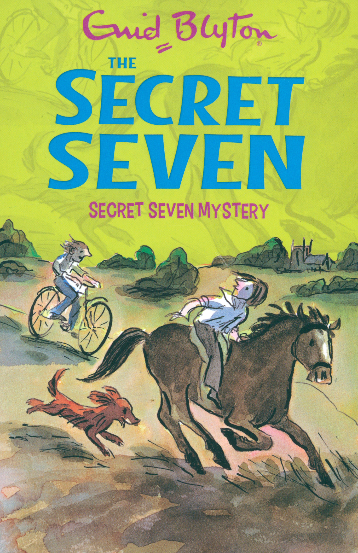 

Secret Seven Mystery