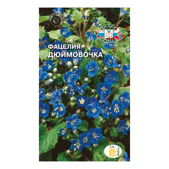

Семена Фацелия Дюймовочка ярко-синяя СеДеК 1 г