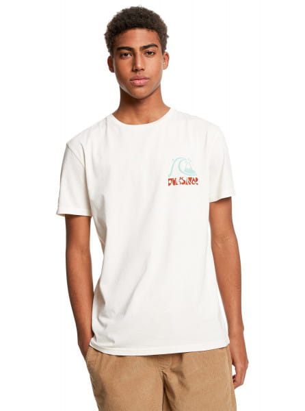 

Футболка мужская Quiksilver EQYZT06725 белая 2XL, EQYZT06725