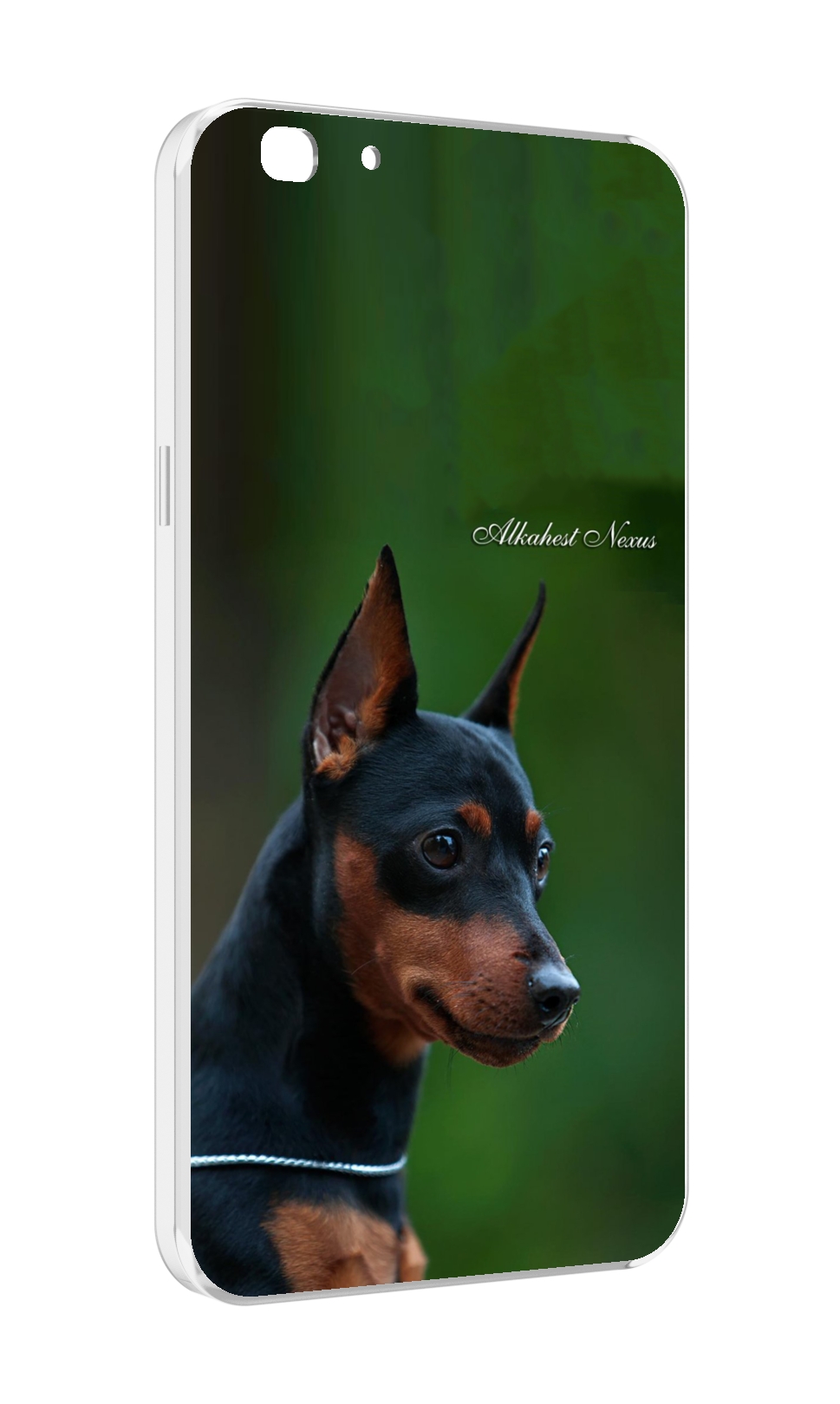 

Чехол MyPads цвергпинчер черпинчер для Oppo A77/F3 (2017 год), Прозрачный, Tocco