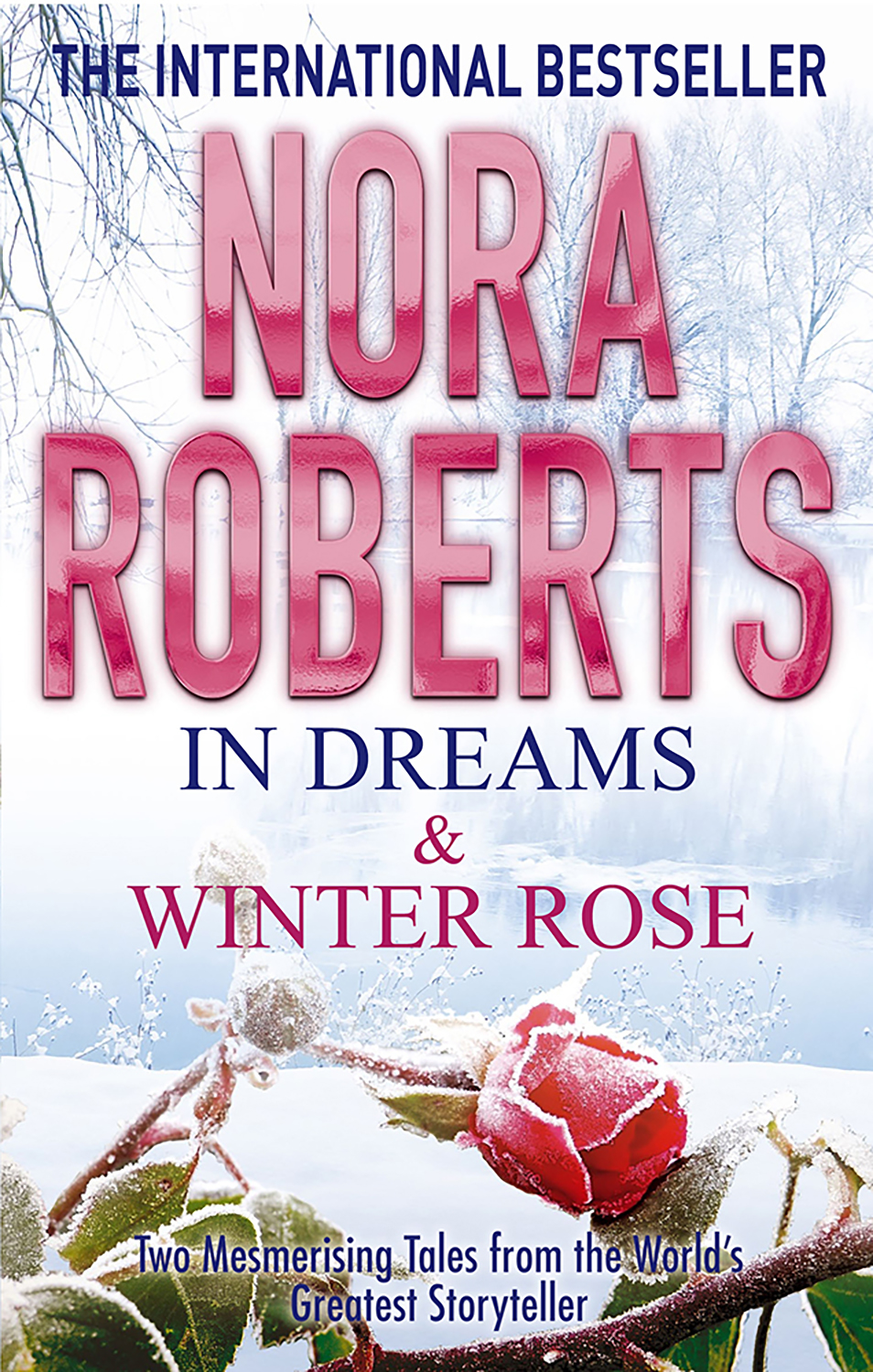 

In Dreams & Winter Rose