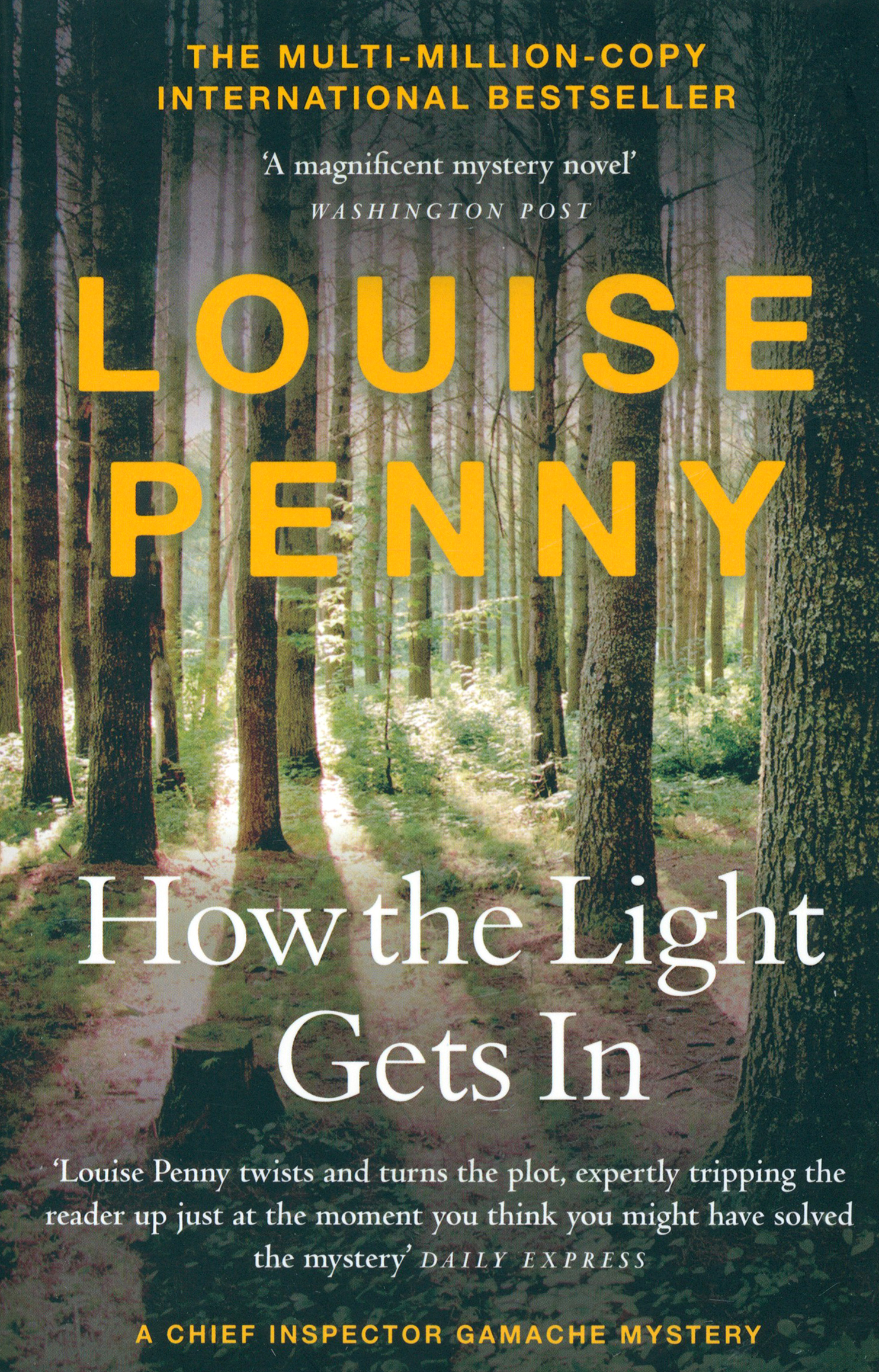 

How The Light Gets In