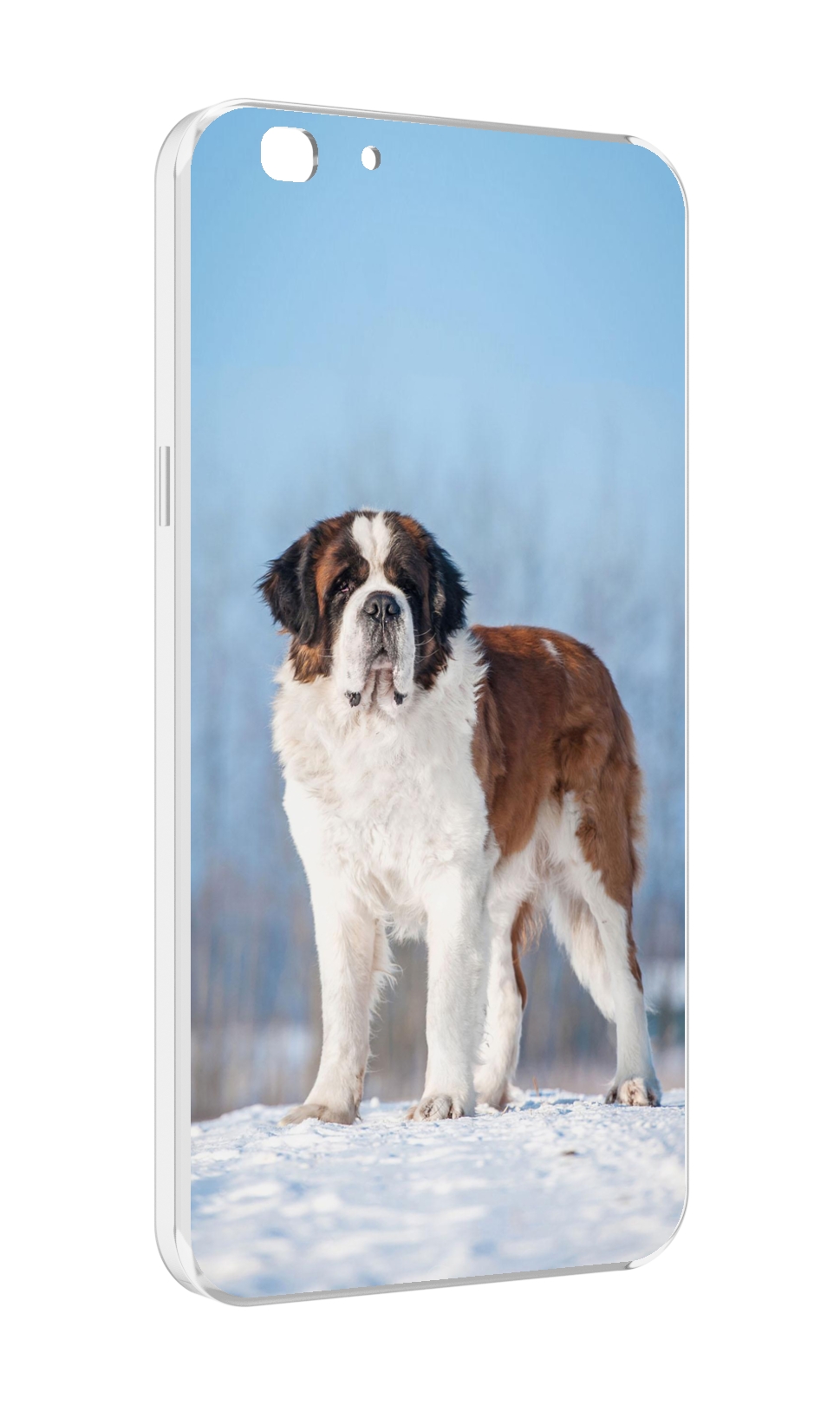 

Чехол MyPads сенбернар для Oppo A77/F3 (2017 год), Прозрачный, Tocco