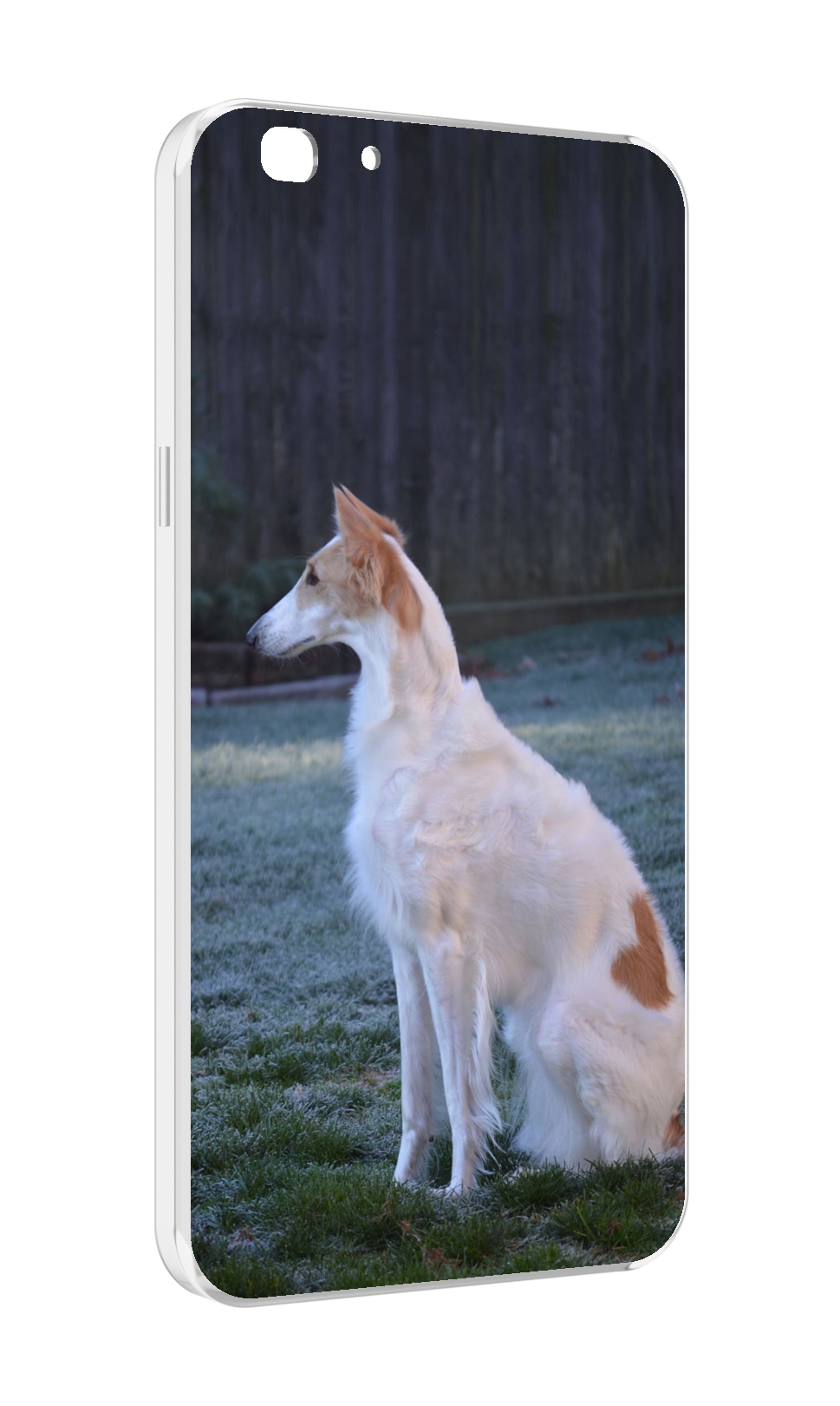 

Чехол MyPads русская псовая борзая для Oppo A77/F3 (2017 год), Прозрачный, Tocco