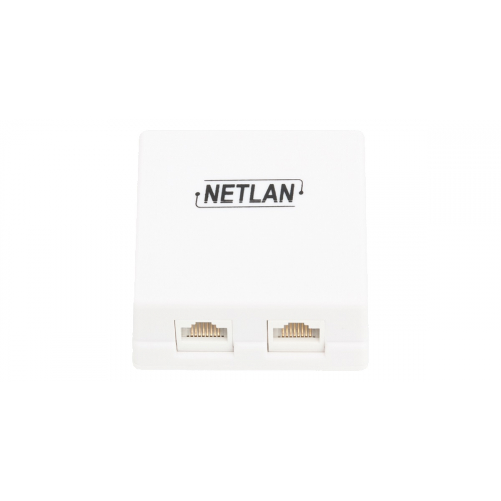 NETLAN Настенная розетка, 2 порта, Кат.5e, RJ45/8P8C, неэкран., белая, 10шт. EC-UWO-2-UD2-