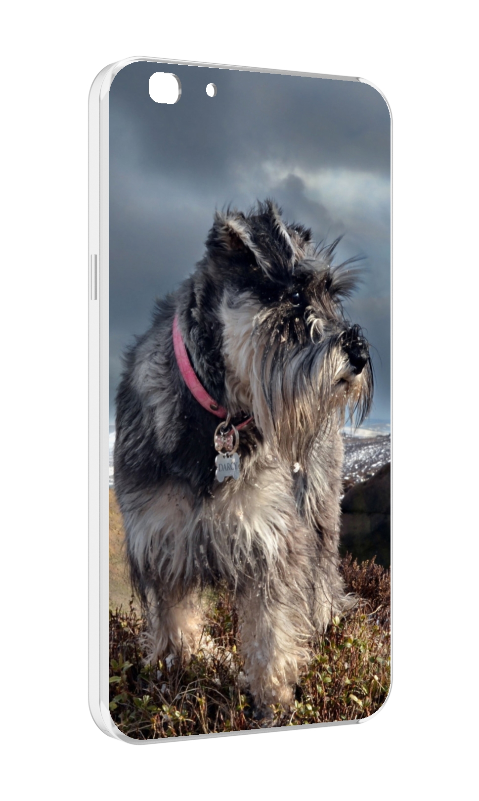 

Чехол MyPads ризеншнауцер 2 для Oppo A77/F3 (2017 год), Прозрачный, Tocco