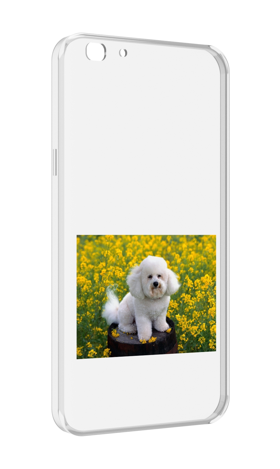 

Чехол MyPads пудель белыи для Oppo A77/F3 (2017 год), Прозрачный, Tocco