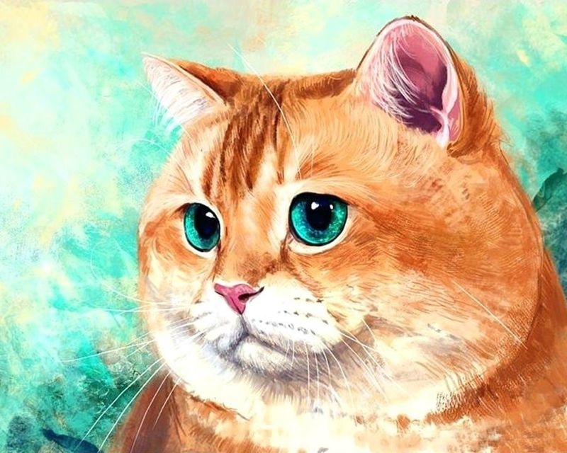 

Картина по номерам Две картинки Милый зеленоглазый котик на подрамнике 40x50, Милый зеленоглазый котик