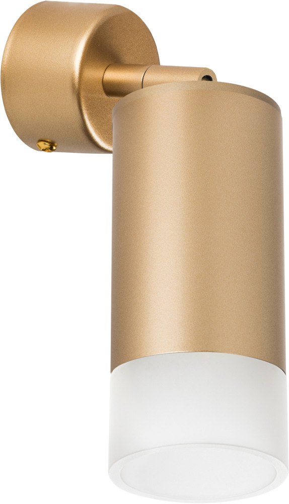 

Спот Rullo RB4401031 Lightstar