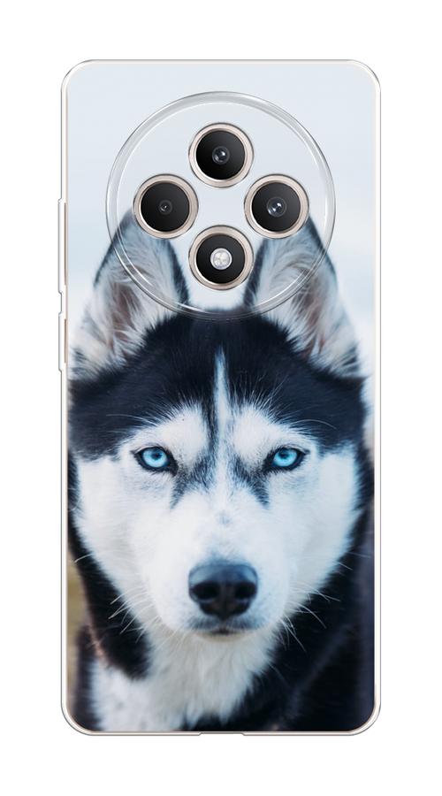 

Чехол на Oppo Reno 12F "Хаски 2", Синий;белый, 2517850-1