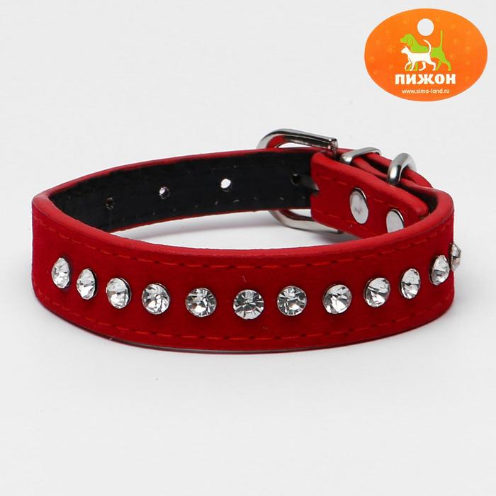 

Ошейник "Бархат и стразы",31 х 1,3/2 см, ОШ 22-28 см, красный