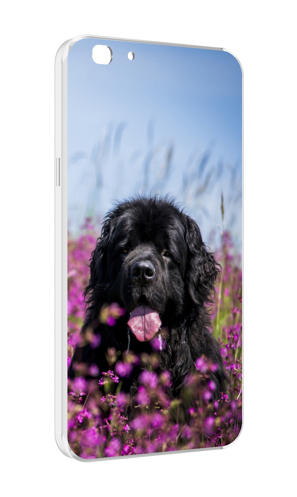 

Чехол MyPads ньюфаундлед для Oppo A77/F3 (2017 год), Прозрачный, Tocco