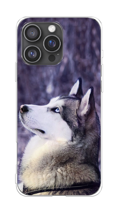 

Чехол на Apple iPhone 16 Pro Max "Хаски 1", Фиолетовый;белый, 16350-1