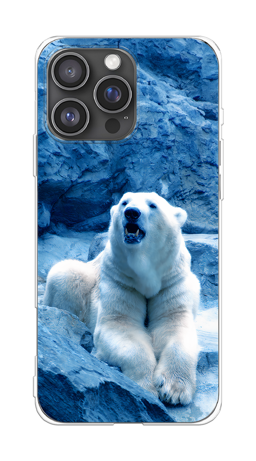 

Чехол на Apple iPhone 16 Pro Max "Белый медведь", Голубой;белый, 16350-1