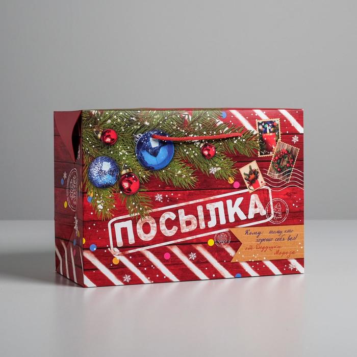 

Пакет-коробка Дарите Счастье Новогодняя посылка 28  20  13 см, Красный