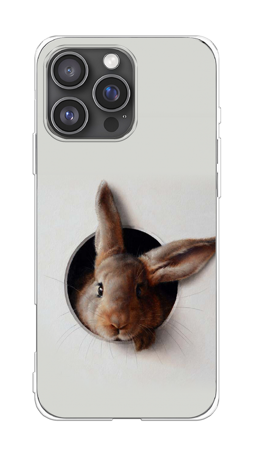 

Чехол на Apple iPhone 16 Pro Max "Любопытный кролик", Серый;коричневый, 16350-1