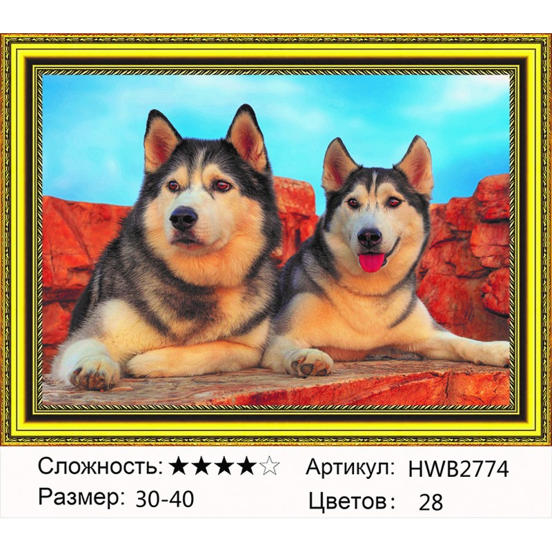 

Алмазная мозаика DVEKARTINKI Мостик 40x50 на подрамнике, Мостик