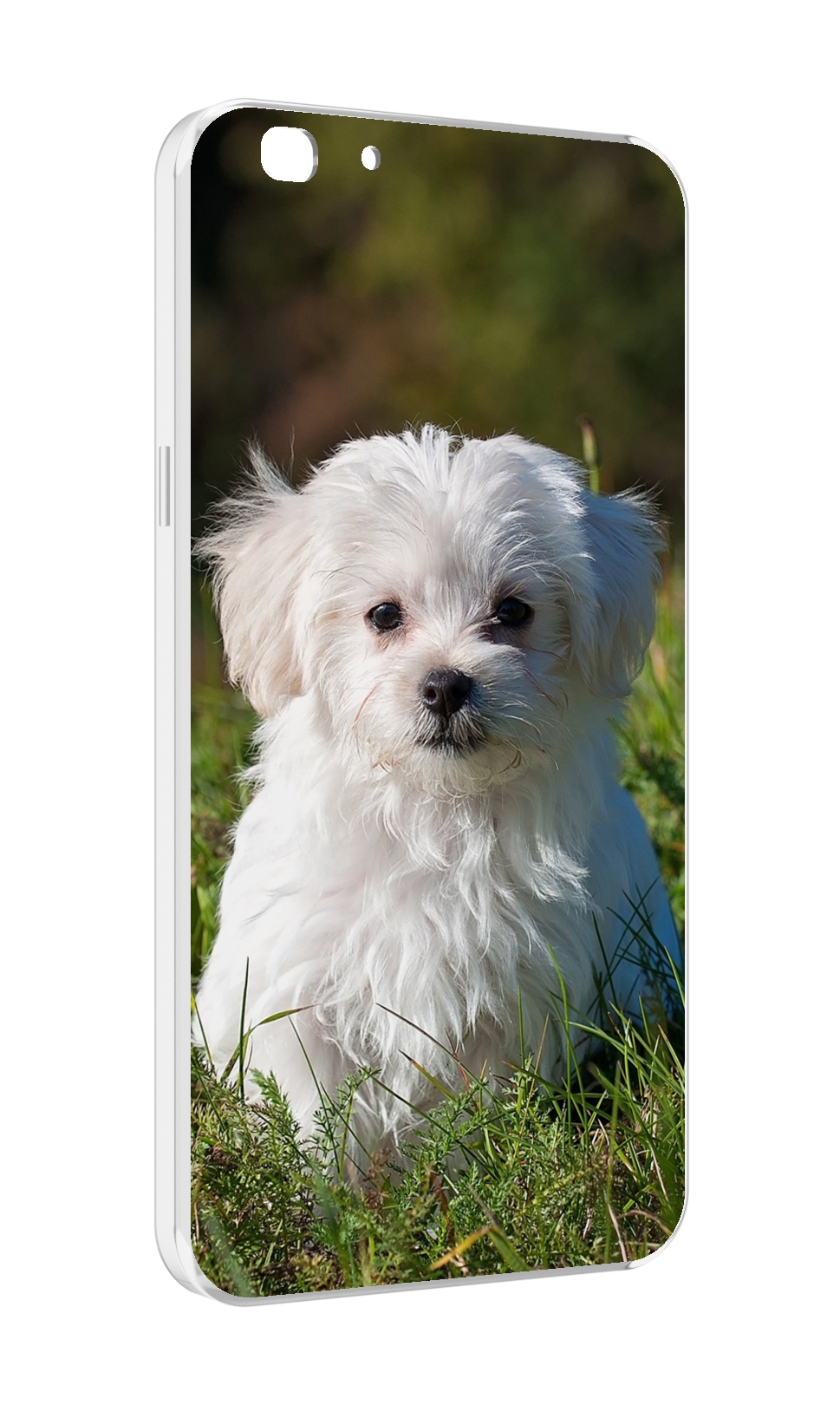 

Чехол MyPads мальтииская-болонка для Oppo A77/F3 (2017 год), Прозрачный, Tocco