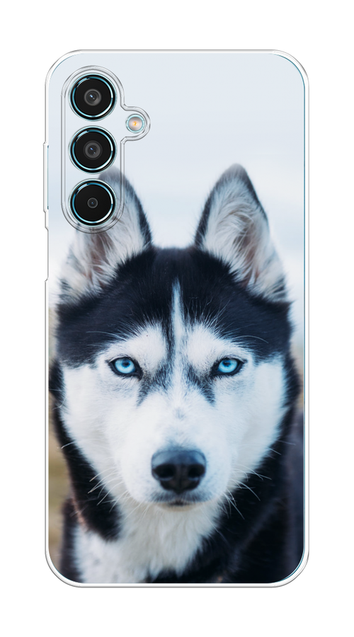 

Чехол на Samsung Galaxy M35 "Хаски 2", Синий;белый, 2110050-1